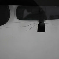 1998-2002 Jeep Wrangler Front Windshield Frame Glass is Broken - BIGGSMOTORING.COM